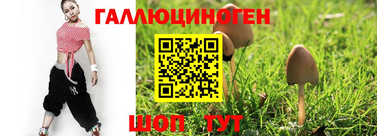 Галлюциногенные грибы мухоморы  Вход с VPN  Белово  Псилоцибиновые грибы GOLDEN TEACHER 